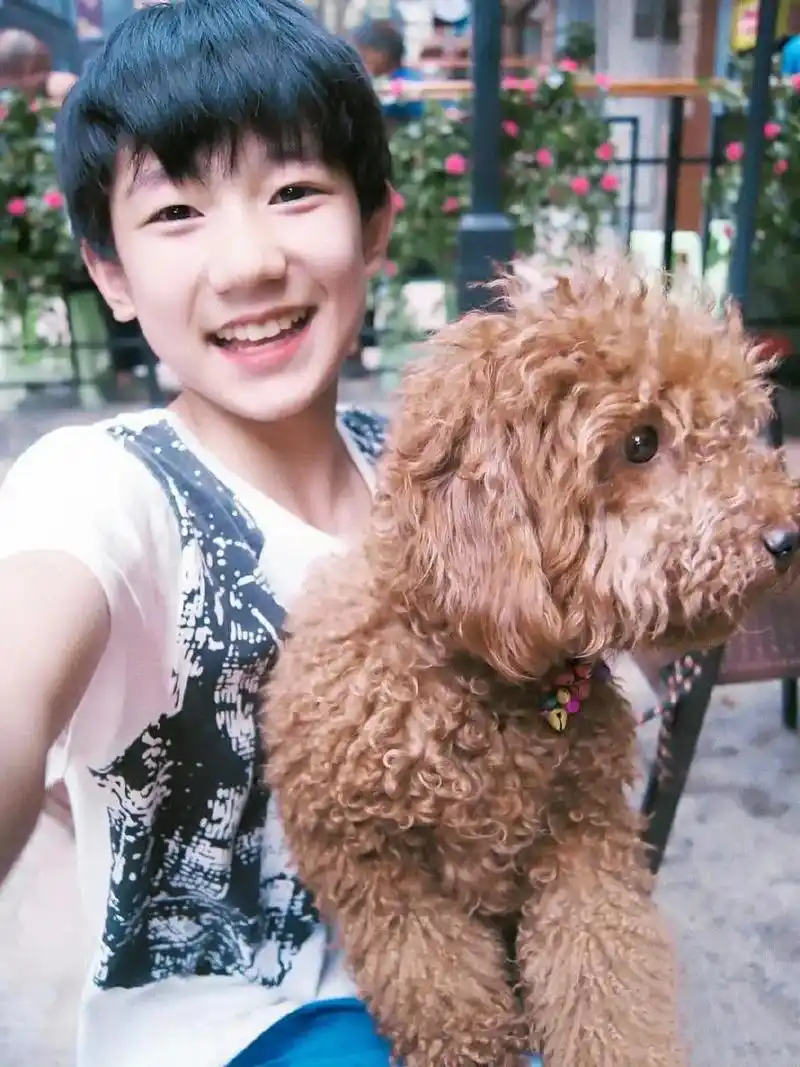 有你别无所求了📸@tfboys