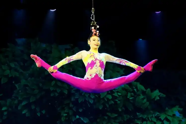 儿童杂技剧《白雪公主》(二)