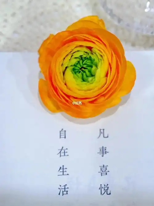 40条极度浪漫的温柔文案好好生活慢慢相遇