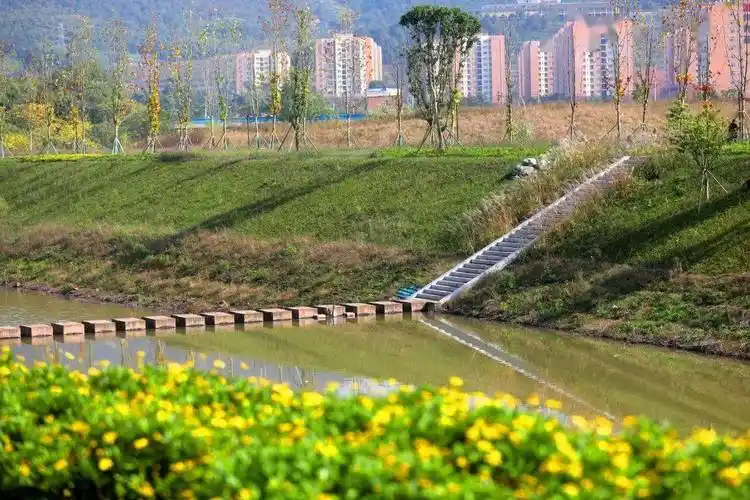 石笼格宾驳岸新建湿地治污从2017年开始埋设管网▲市民在梁滩河散步