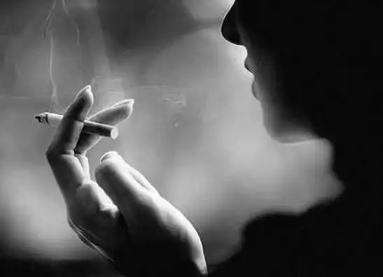 m兜q輚飋憬t憝t蓊筿sw輢7