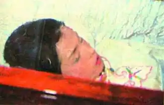 明星:陨落的巨星,不灭的星光