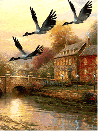 最美的山水风景动态图人间天堂