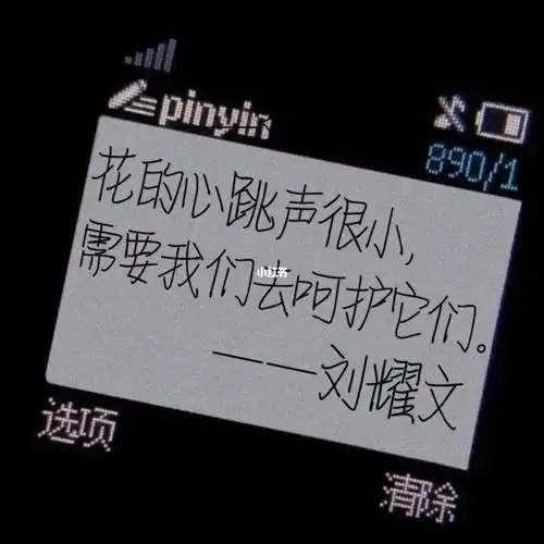 文案  #语录  #刘耀文  #时代少年团 "花的心跳声很小,需要我们去