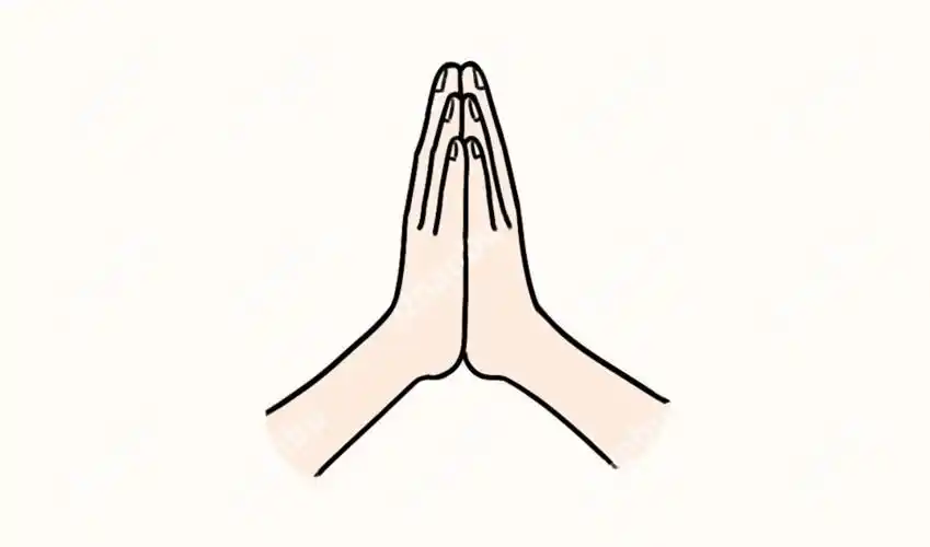 首先你要记住我们的感情线位置(如下图▼) 然后,  把你的双手合十