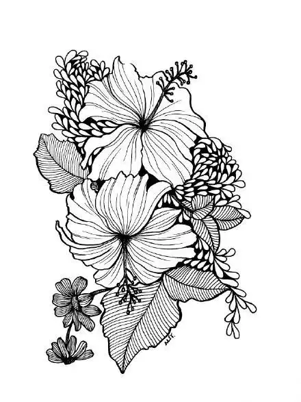 黑白线稿白描插画,细节控福音,植物插画