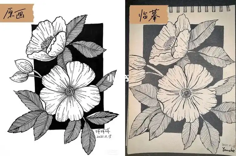 绘画临摹签字笔花卉与线条