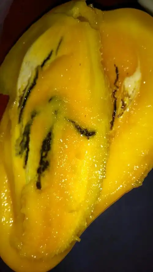 这只芒果出了什么问题?还能吃吗