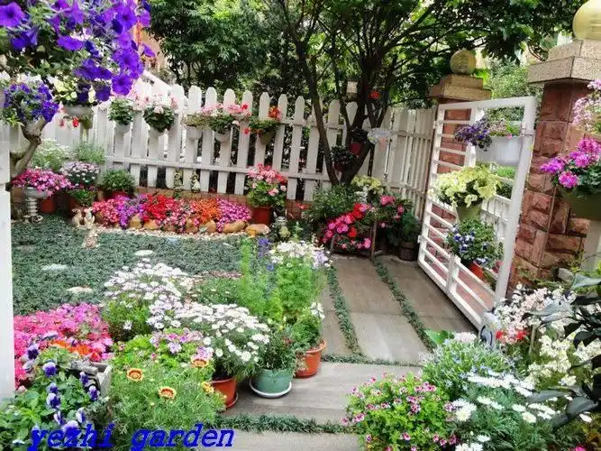 40平的小院子如何成为美翻了的小花园