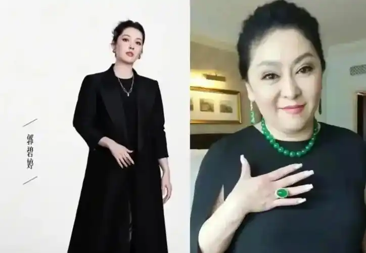 郭碧婷发福后,面相变得更凶了,眼神凌厉,目光没有之前柔和,很像向太