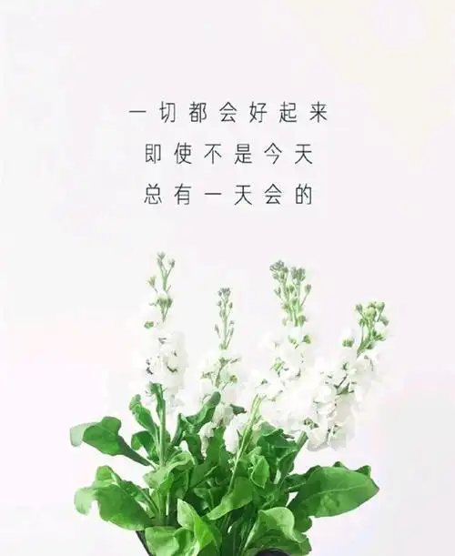 正能量走心治愈句子,文艺干净,睿智通透,沁人肺腑