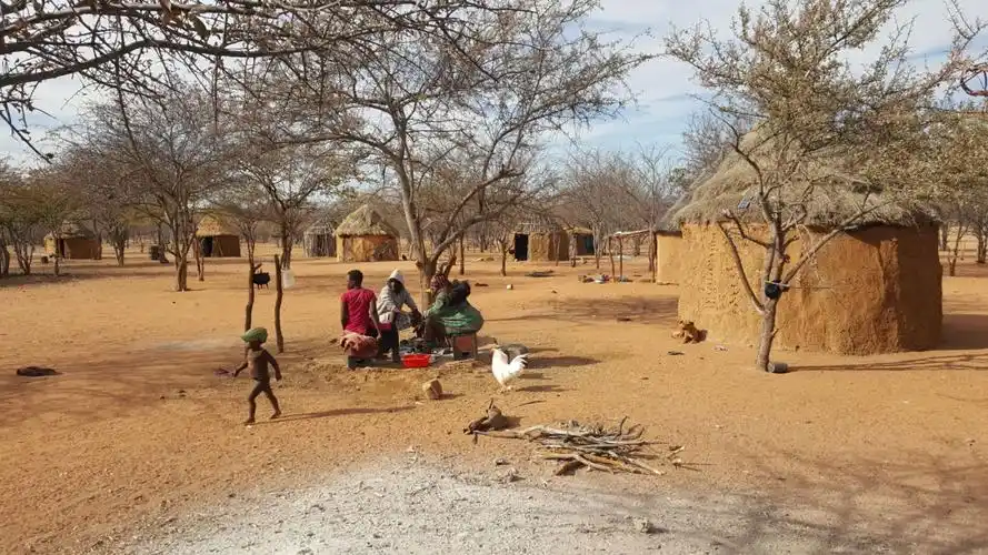 原始社会族群----辛巴族