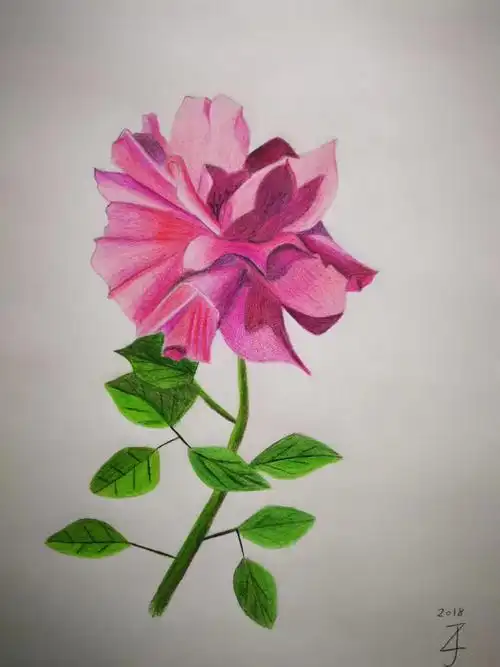 张静扬素描 彩色铅笔画作品集