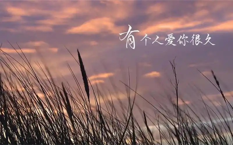 手写mv把晴天的歌词写出来配上风景感觉很治愈