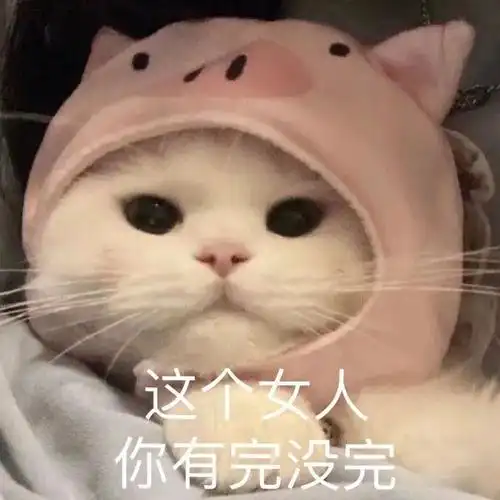 男人你有完没完我咋个晓得嘛猫猫头上长花表情包猫猫头上长花表情包