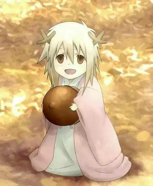 夏目友人帐辰未小玉