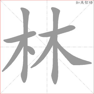 林字的笔顺动画