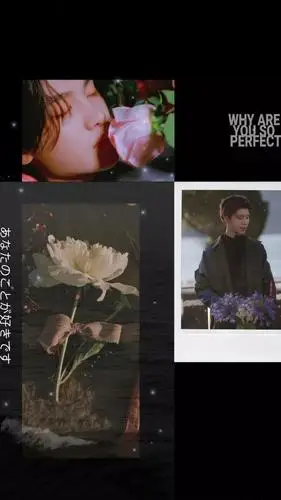 皇权富贵cp壁纸范丞丞黄明昊这是什么神仙友谊