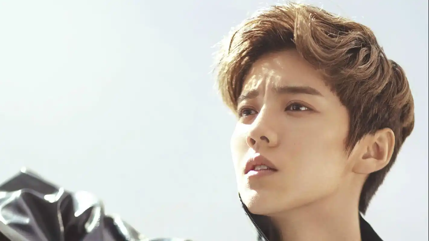 阳光小鲜肉鹿晗帅气写真桌面壁纸高清大图预览1920x1080_大陆明星下载