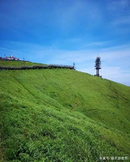 高山万亩草甸,云山雾绕栈道,户外运动者的圣地江西武功山
