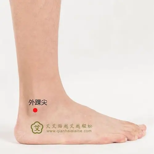 外踝尖--艾艾贴穴位图