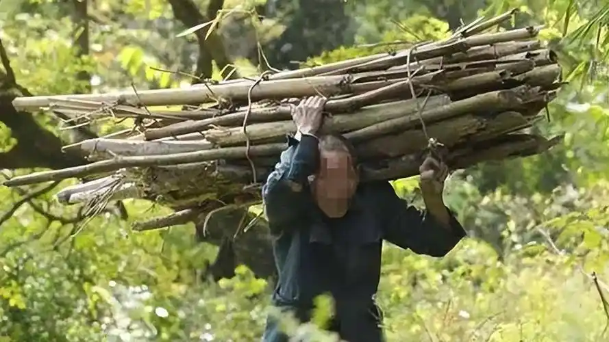 2003年辽宁男子吃蛇竟变"蛇人",身上长满鳞片,究竟怎么回事?