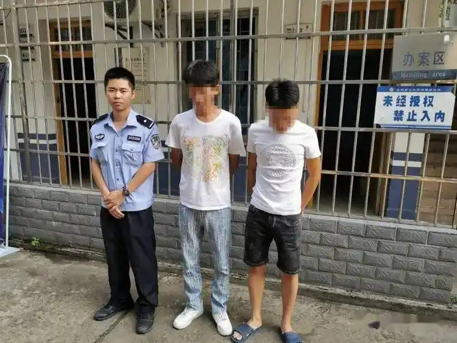 治安实际,始终保持对"黄赌毒","盗抢骗"等违法犯罪行为的严打高压态势