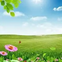 蓝天白云绿草地,风景头像图片-回车桌面