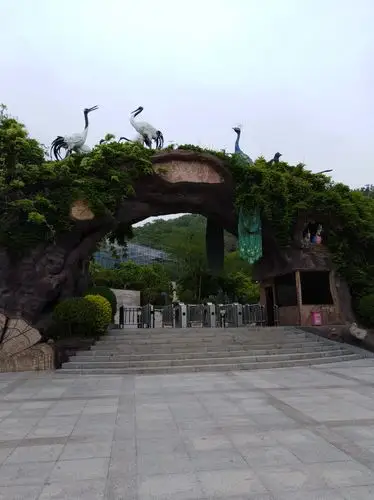 青岛石老人观光园