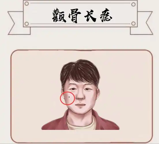 颧骨长痣颧骨在相学中代表的是权利与财势,若是颧骨长得坚挺有肉饱满