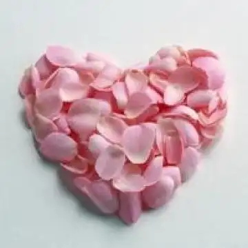 那些心形的美,风景头像图片-回车桌面