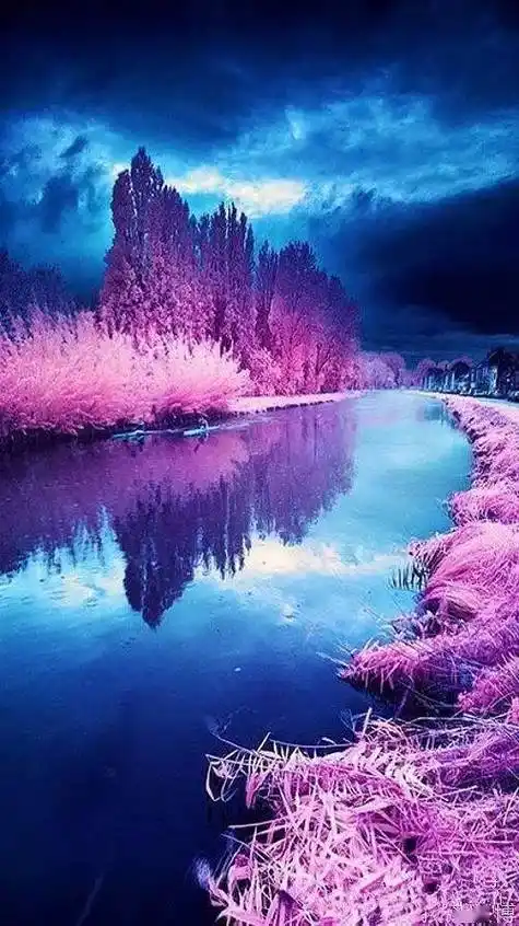 106幅养眼的美图