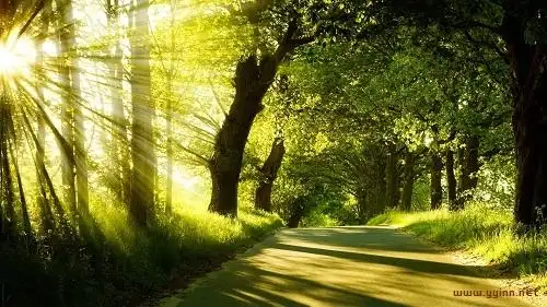 享受阳光惬意的句子说说(沐浴阳光与心情经典句子)