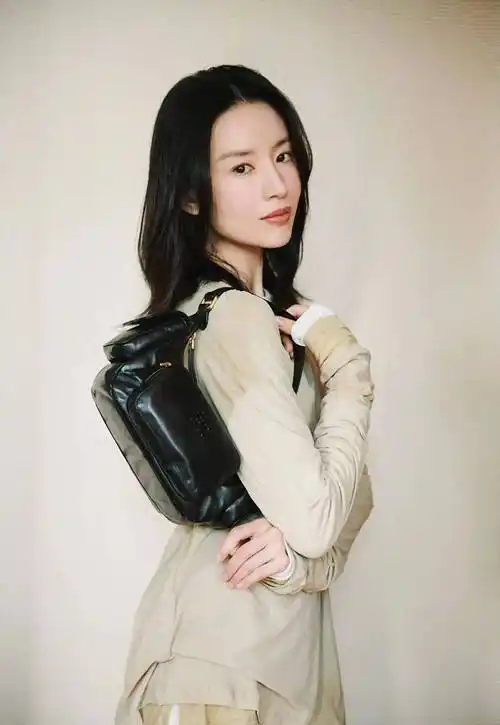 明星写真第54集丨董洁