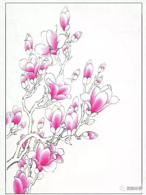 两种花卉工笔画步骤图解,简单易学!