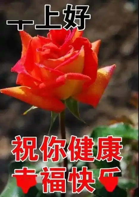 8月12日周六,最漂亮的早上好短语句子,开心,快乐!