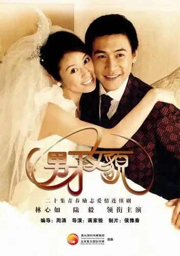 电视剧《男才女貌》海报