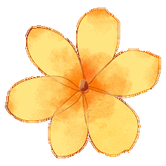 这些天,在惠水县山后村米丹桥附近,上百亩油菜花竞相绽放.