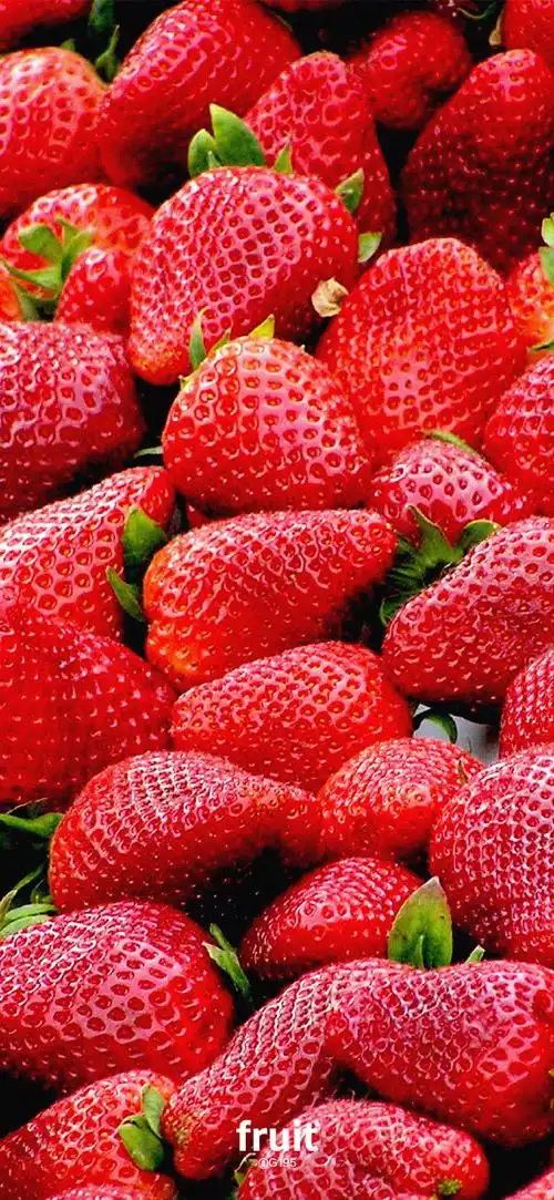 水果 壁纸  #瞎胡闹壁纸##春天的第一张壁纸# #送你一张新壁纸