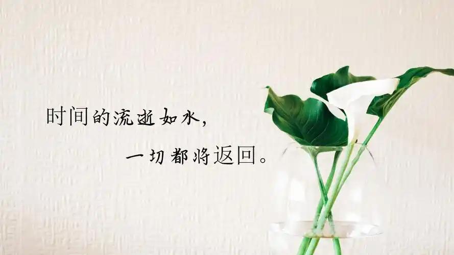 时光匆匆流逝的说说配图