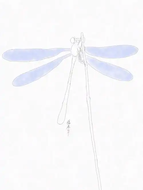 手绘蜻蜓