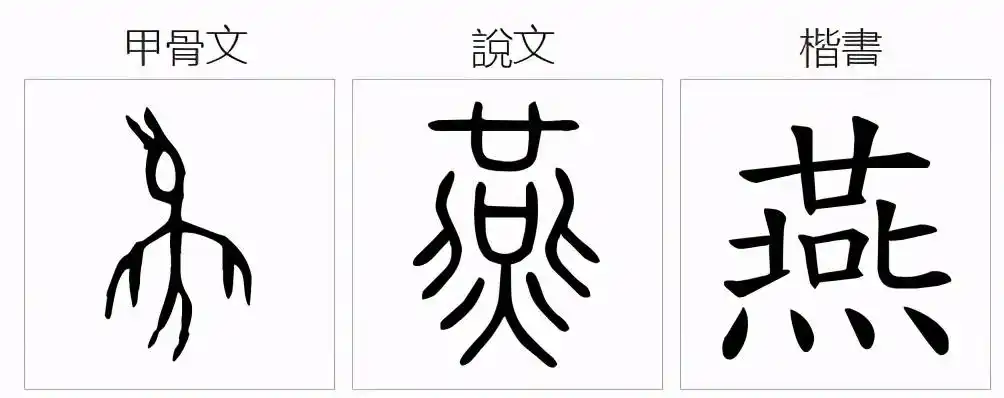 从"燕"字的演变过程可以看出,甲骨文象形,是一只尖嘴剪尾,展翅向上飞