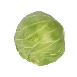 抗热结球甘蓝种子 卷心菜包心菜 耐热正圆形春夏秋季播蔬菜种籽孑 券