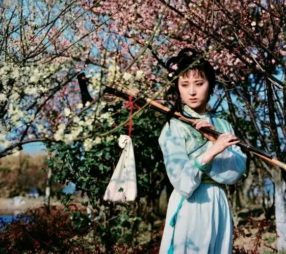 87版红楼梦高清剧照共60张[jpg,80mb]阿里云网盘下载