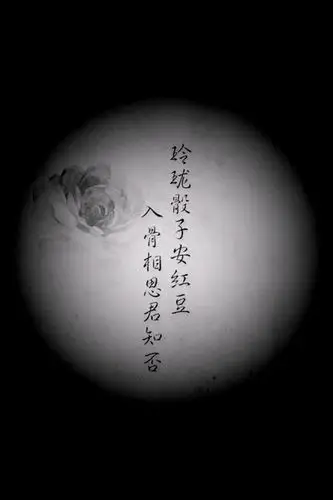 玲珑骰子安红豆,入骨相思君知否!