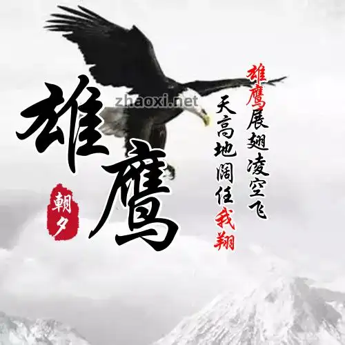 黑色岩石背景金黄色展翅雄鹰yy头像在线制作