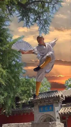少林功夫#一个动作 一首音乐 一个人拍 一个人看