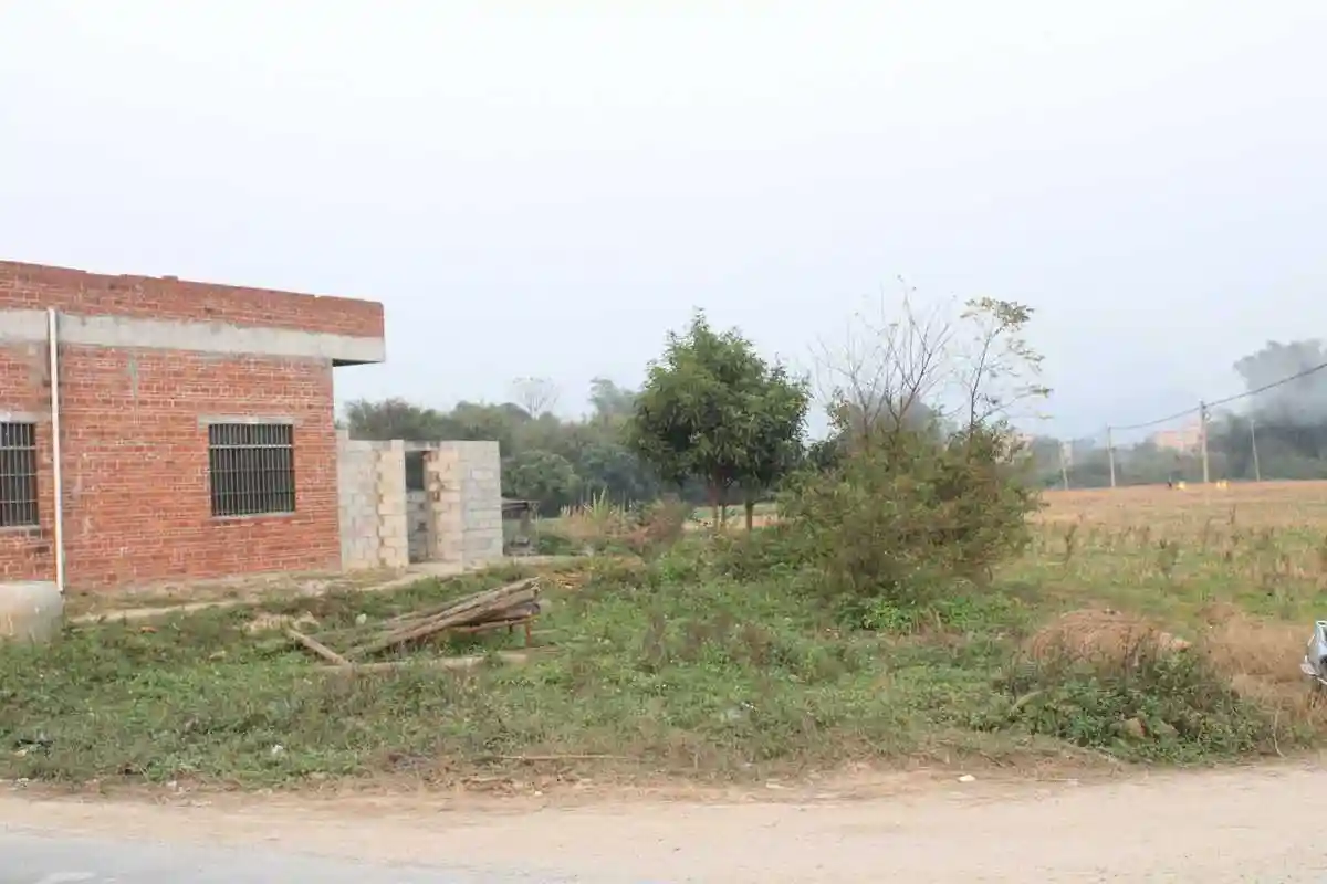 上禾居农村注定回不去的地方