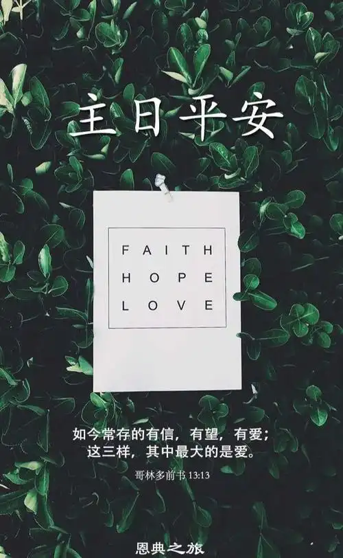 在罪的面前,没有神儿子耶稣基督,谁都不能站立得住.