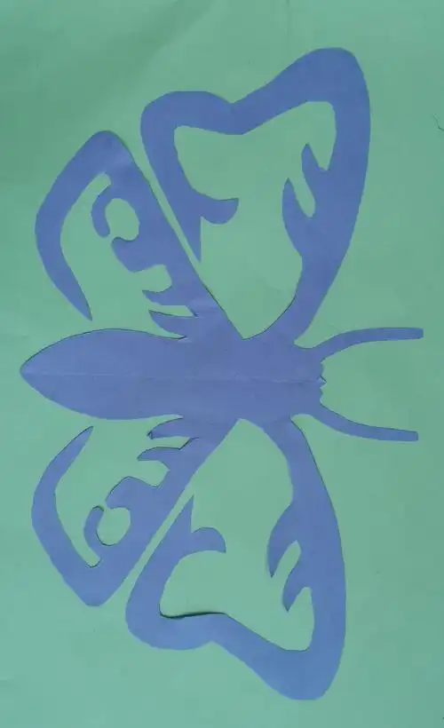 托里县第一小学开展数学实践活动----美丽的轴对称图形